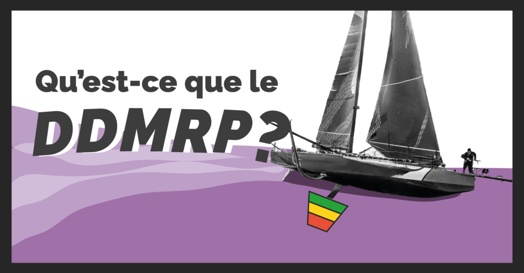 Bannière de l'article sur les grands principes du DDMRP